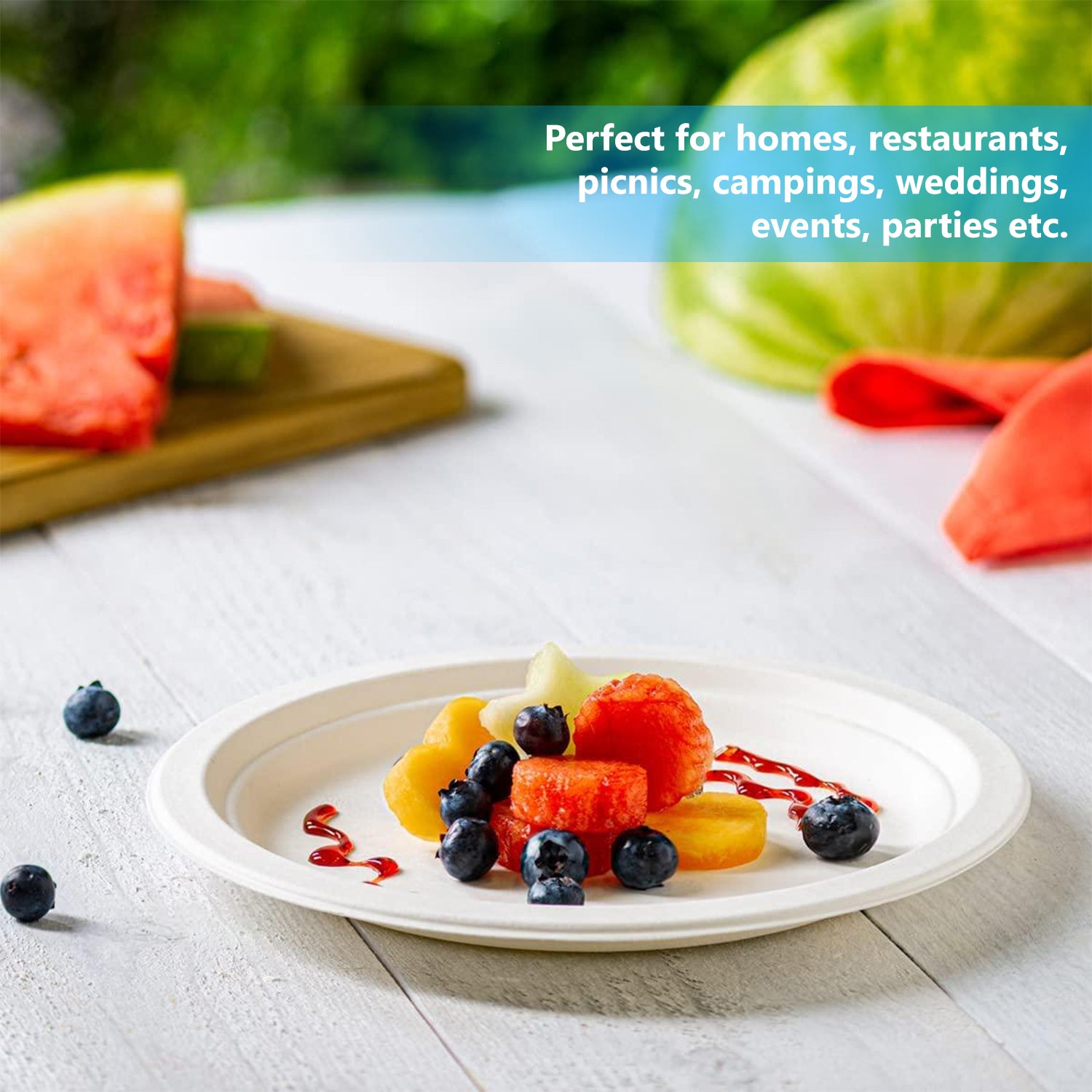 10x12Inch Disposable Oval Bagasse Plates