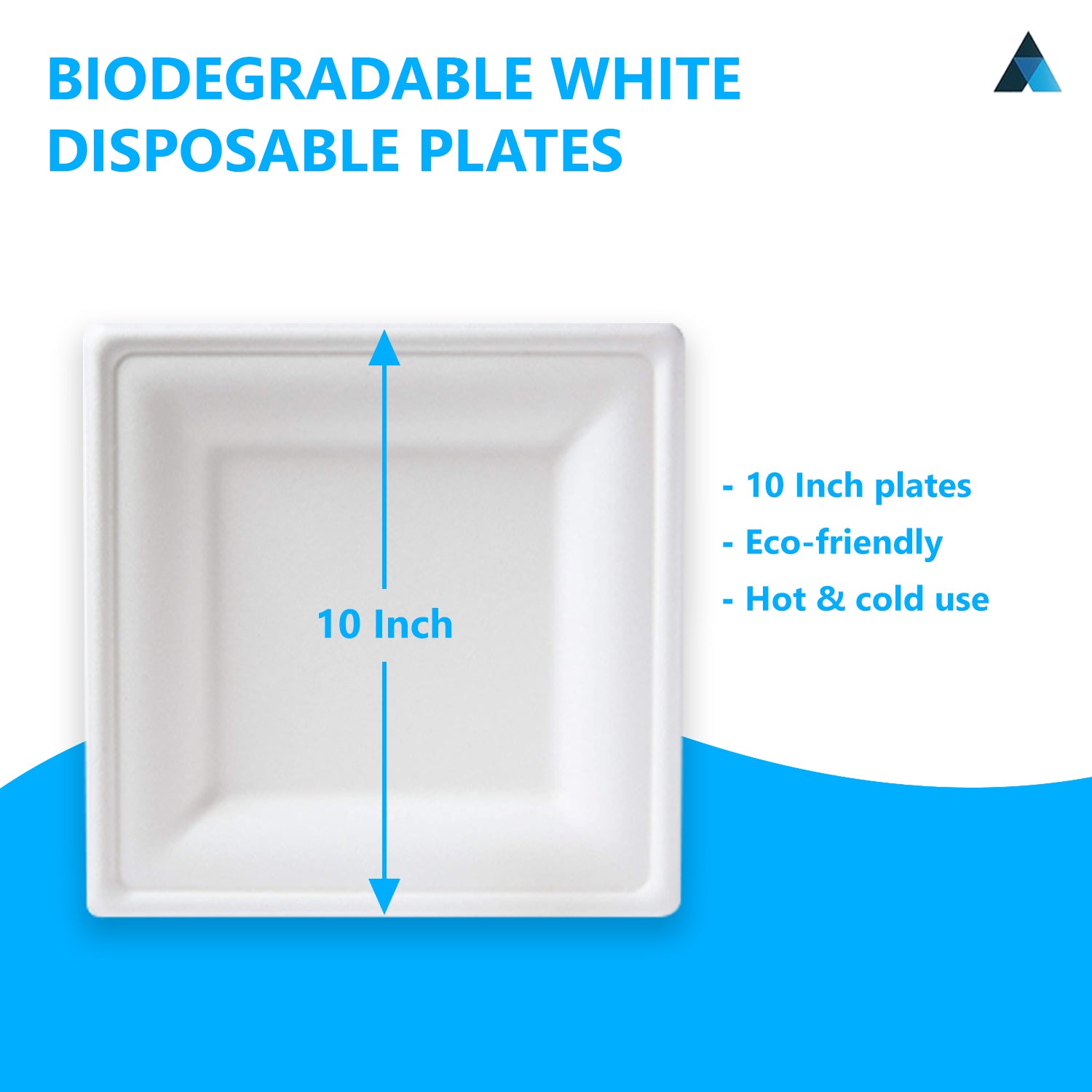 Square Bagasse Plates