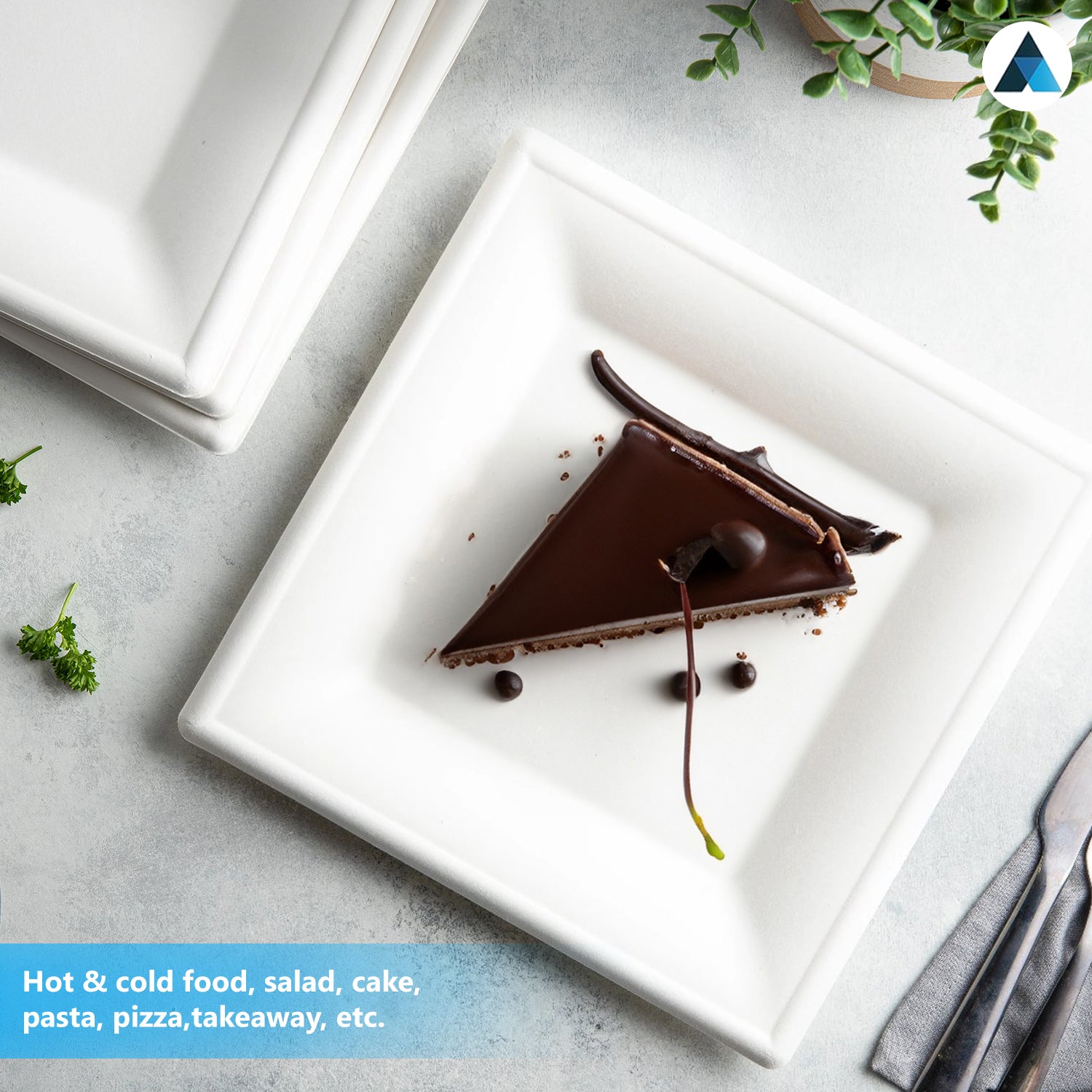 6 inch Square Bagasse Plates