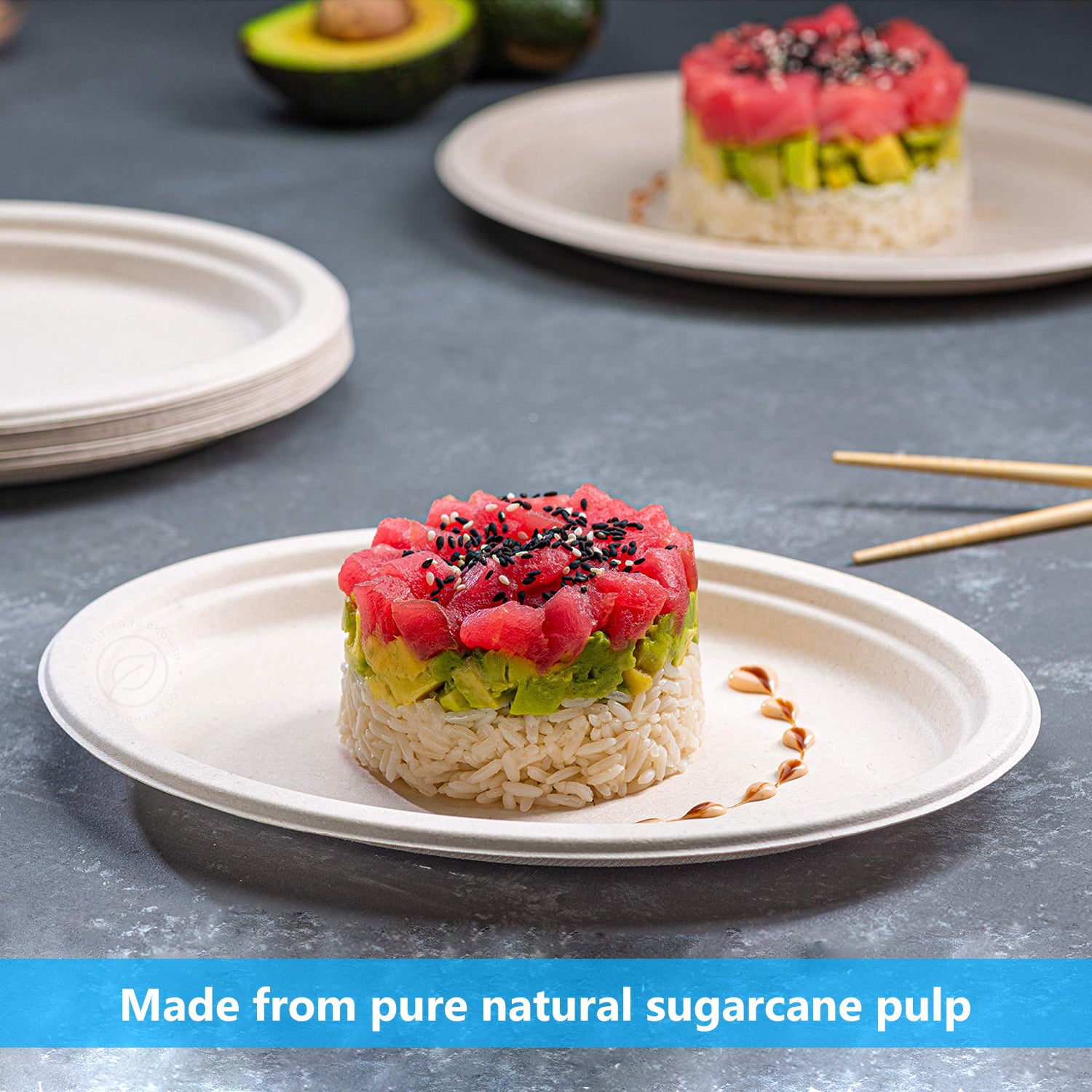 10x12Inch Disposable Oval Bagasse Plates