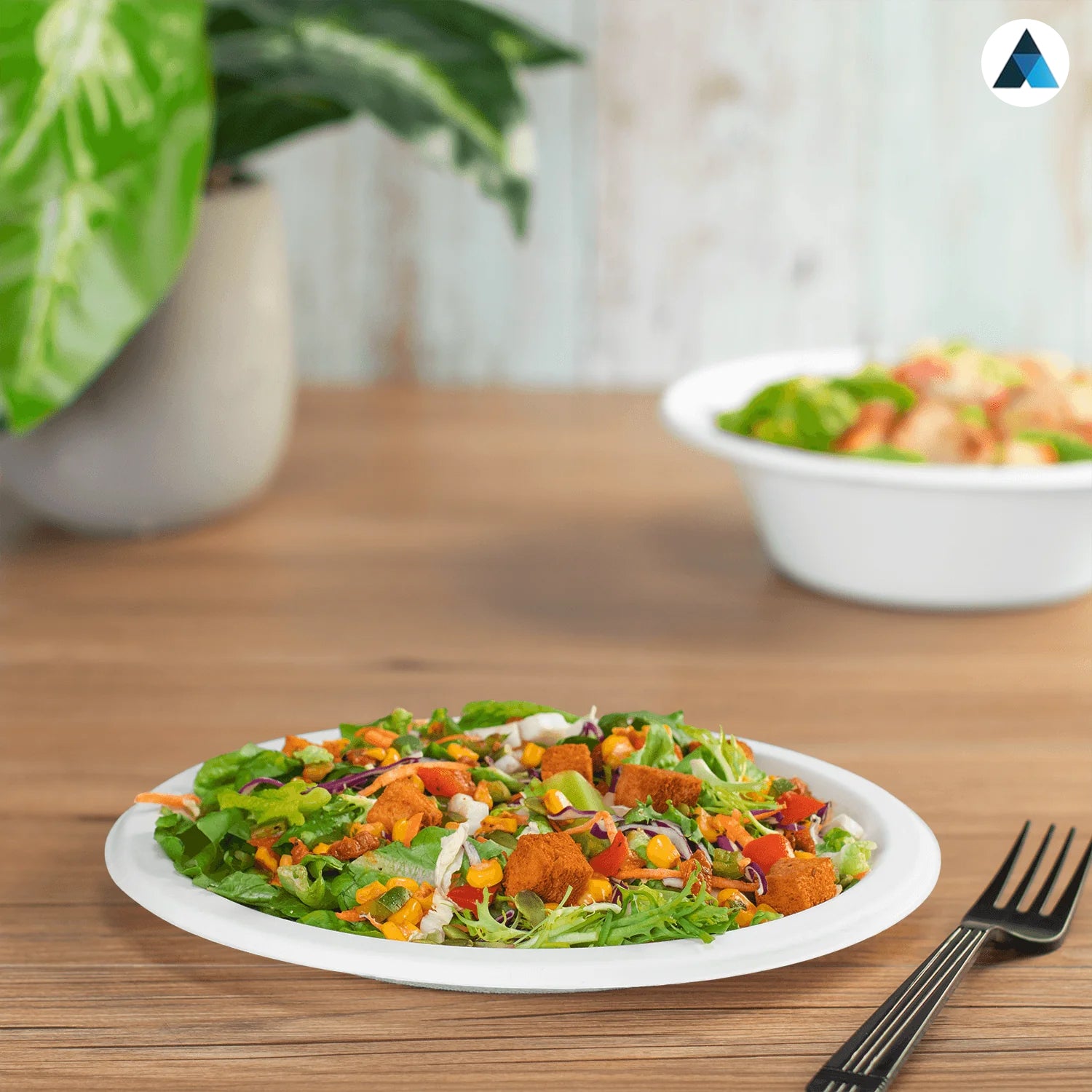 10 Inch Round Paper Bagasse Plates