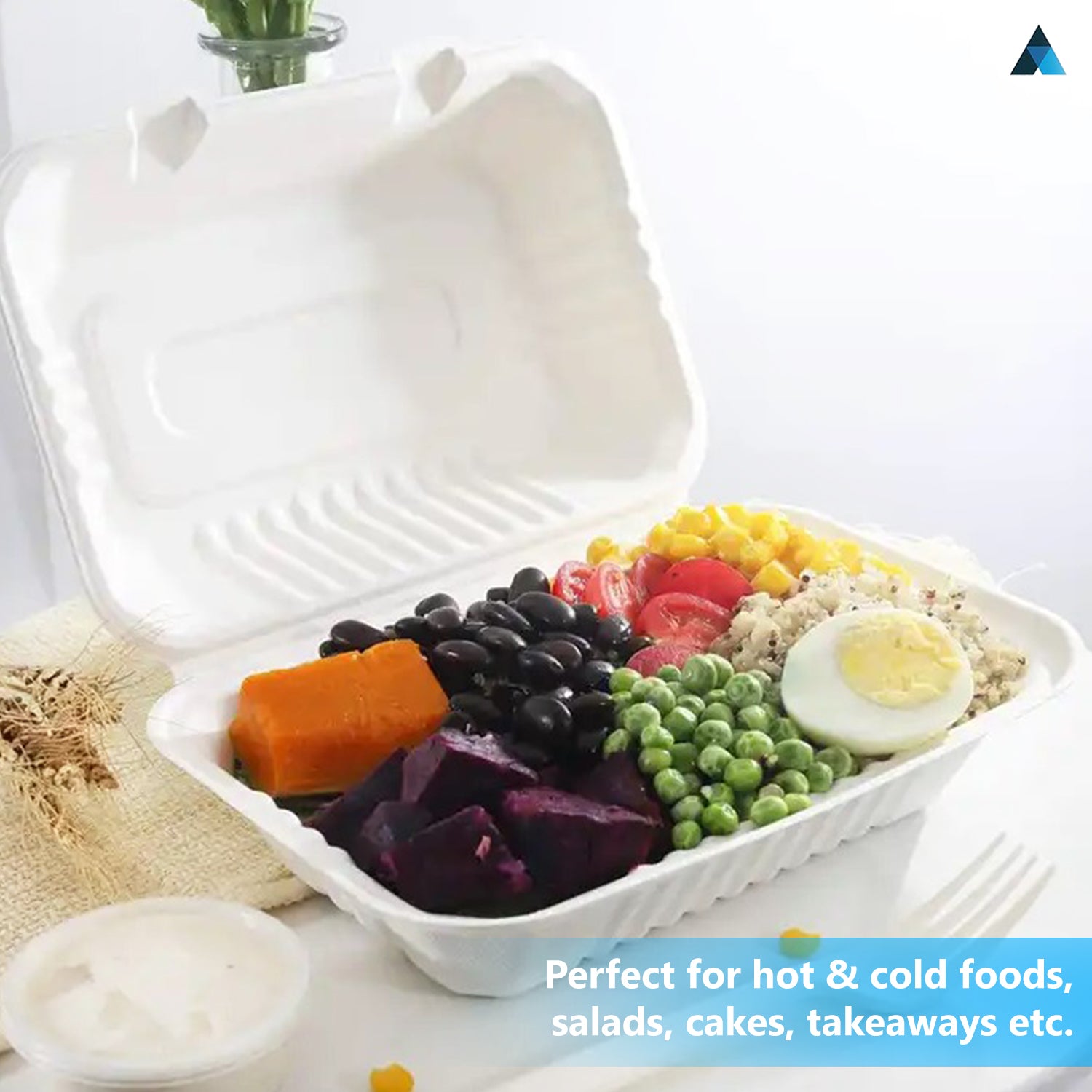 9x6 Inch Bagasse Clamshells Takeaway Box