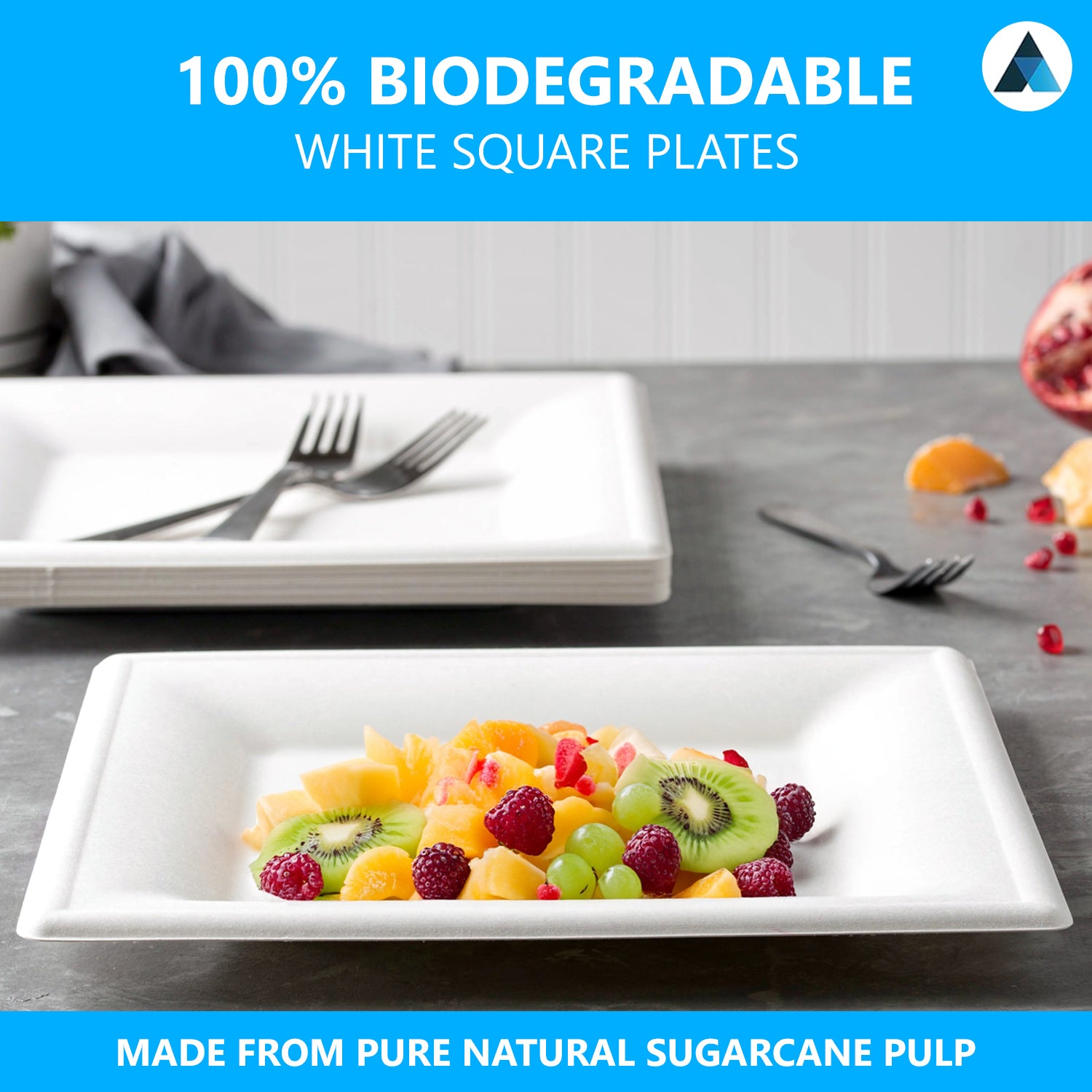 Square Bagasse Plates