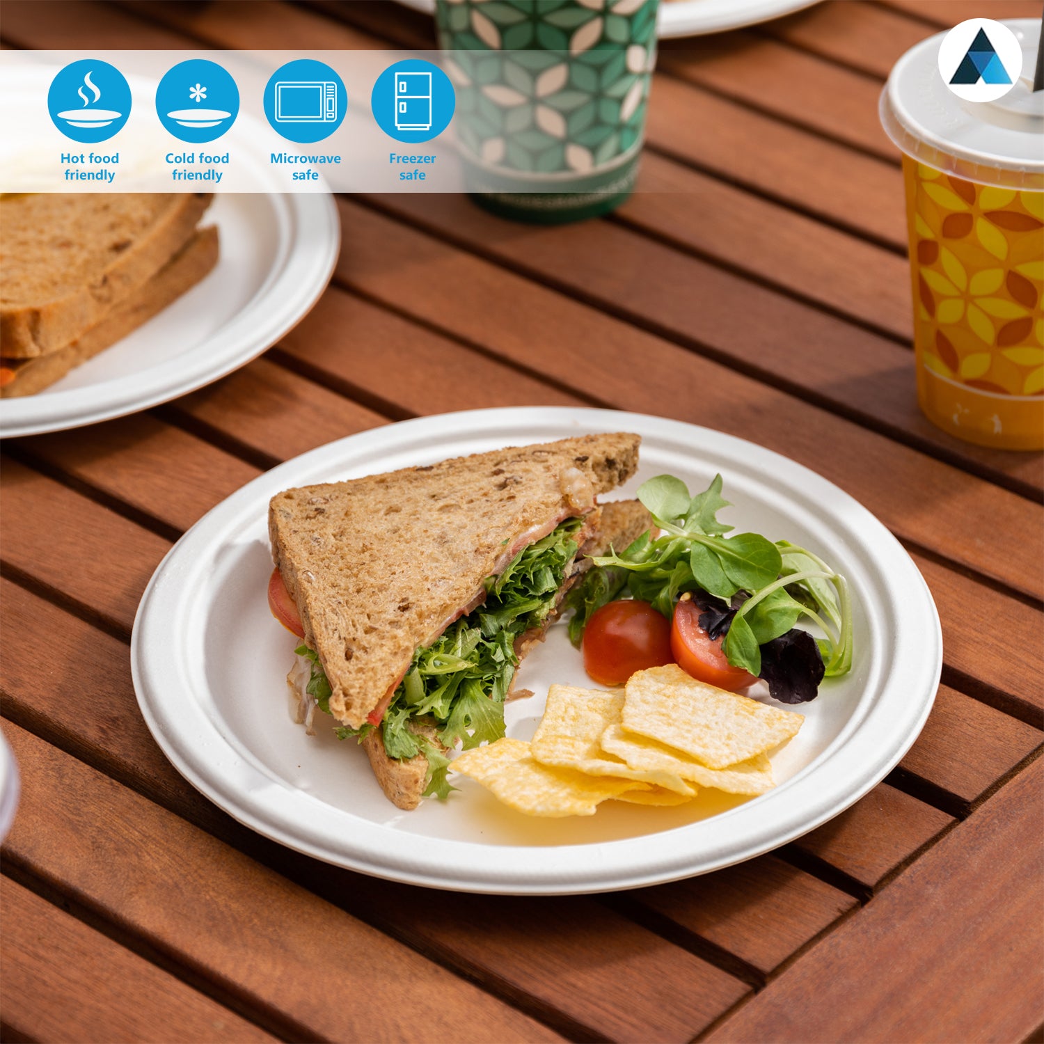 Round Paper Bagasse Plates