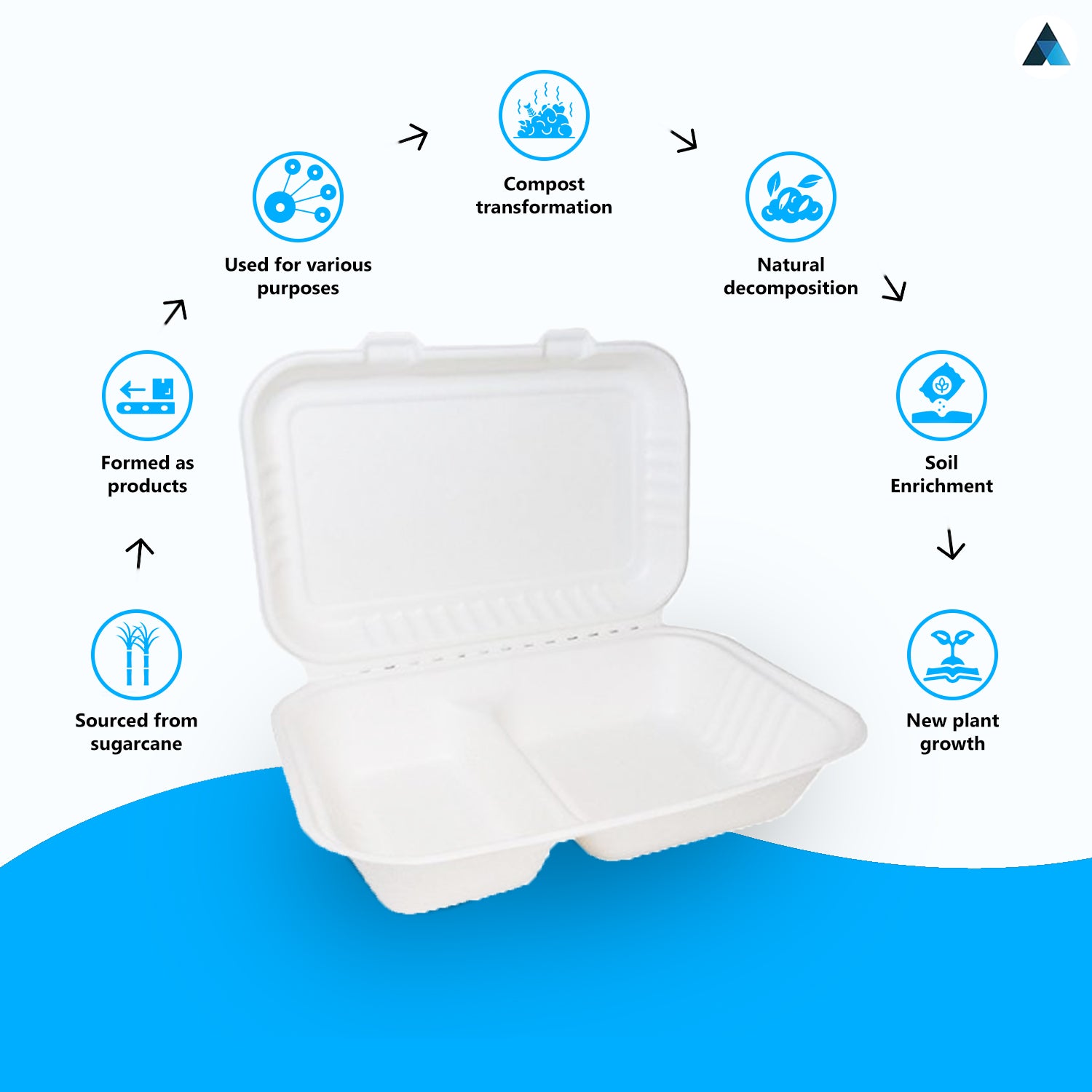 9x6 Inch Bagasse Clamshells Takeaway Box