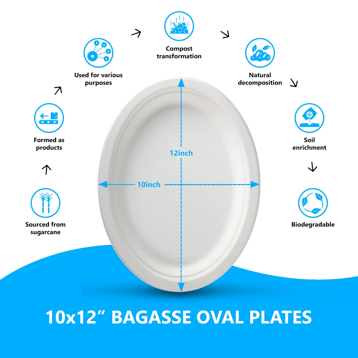 10x12Inch Disposable Oval Bagasse Plates