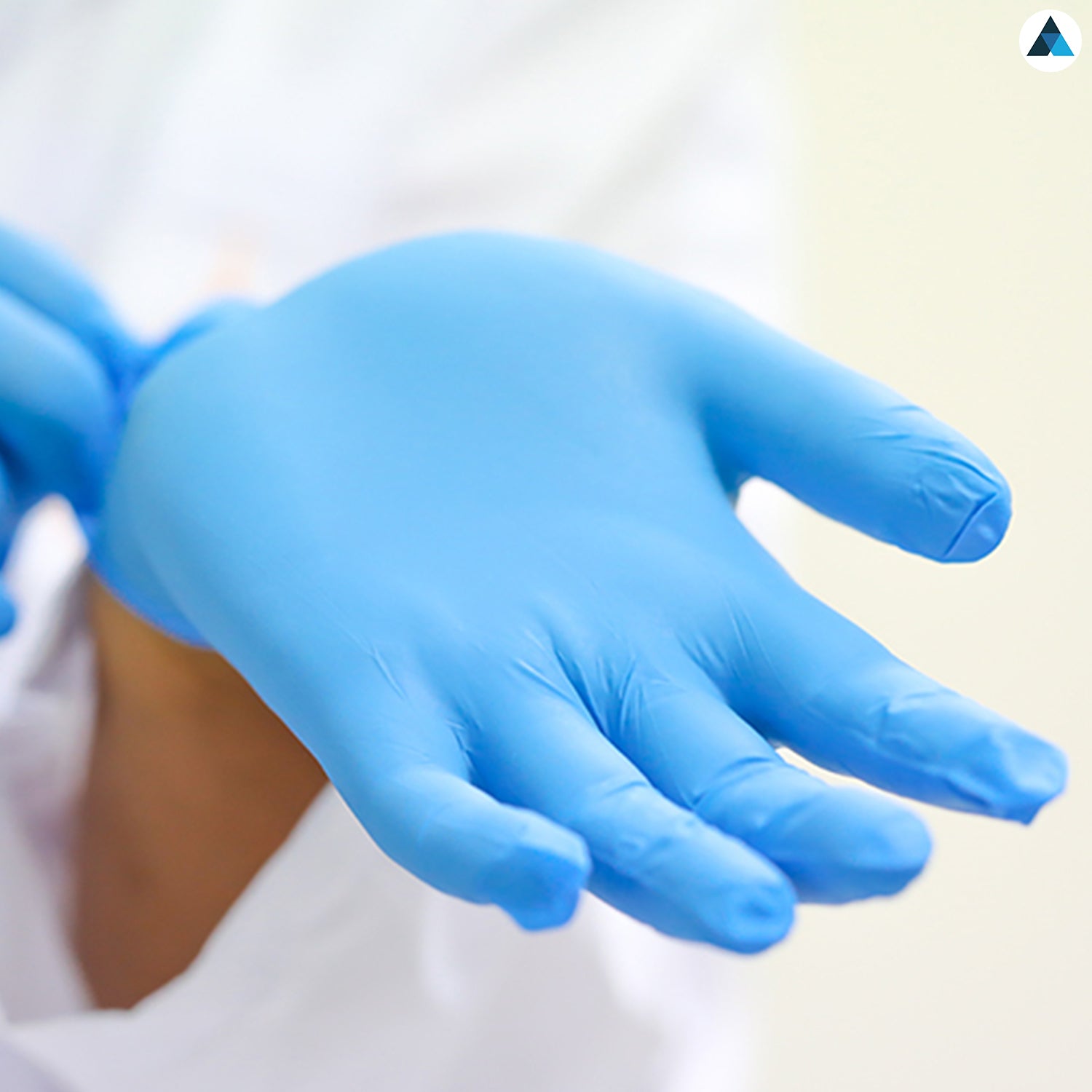 Large Nitrile Gloves (100 pcs)