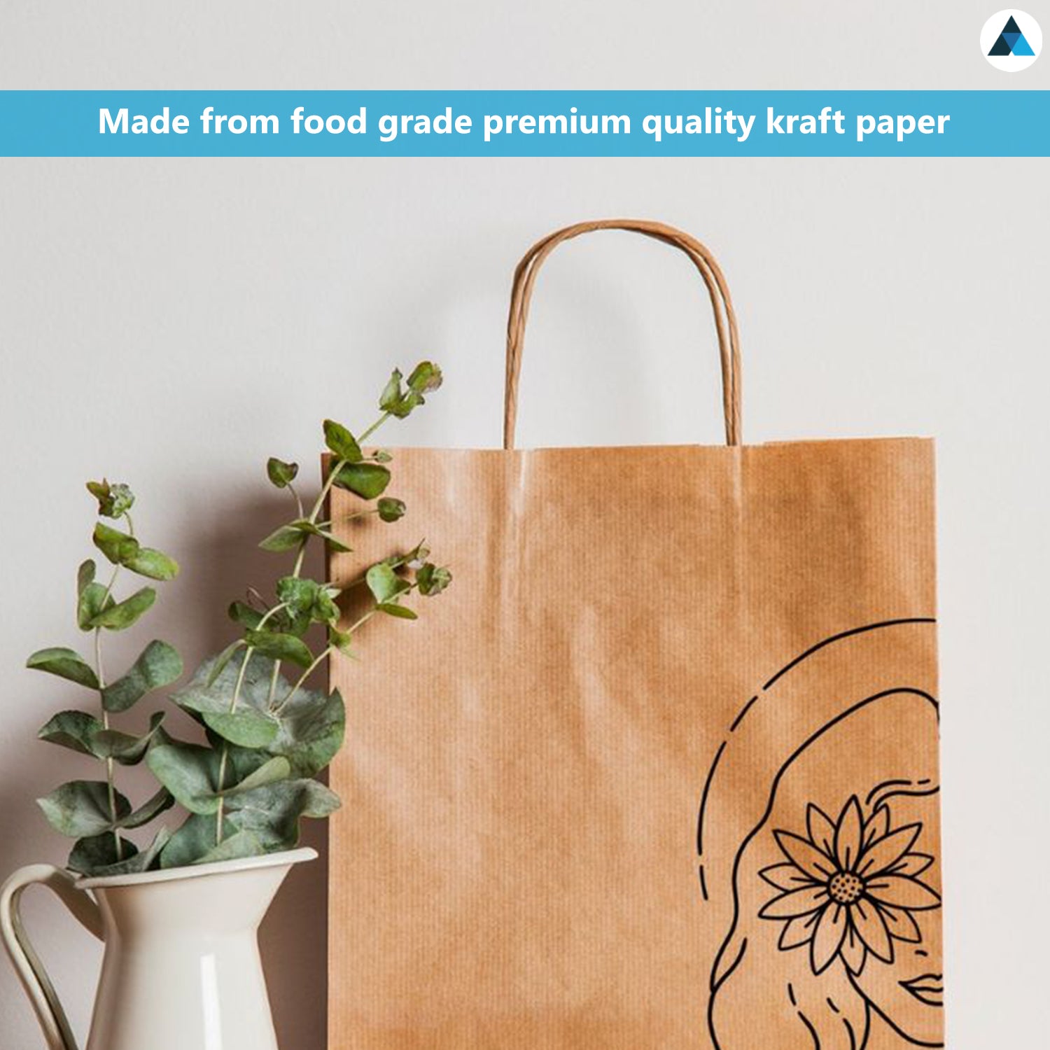 Medium Plus Brown Paper Twist Handle Bags 20.3x26.7x10.8cm