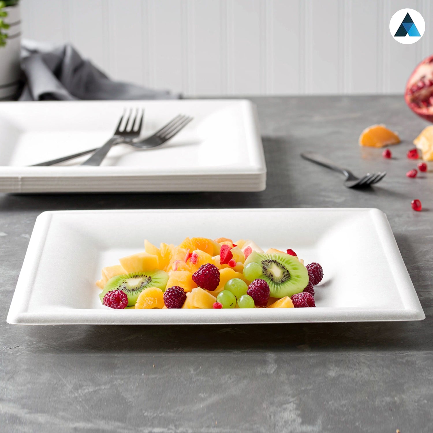10 inch Square Bagasse Plates