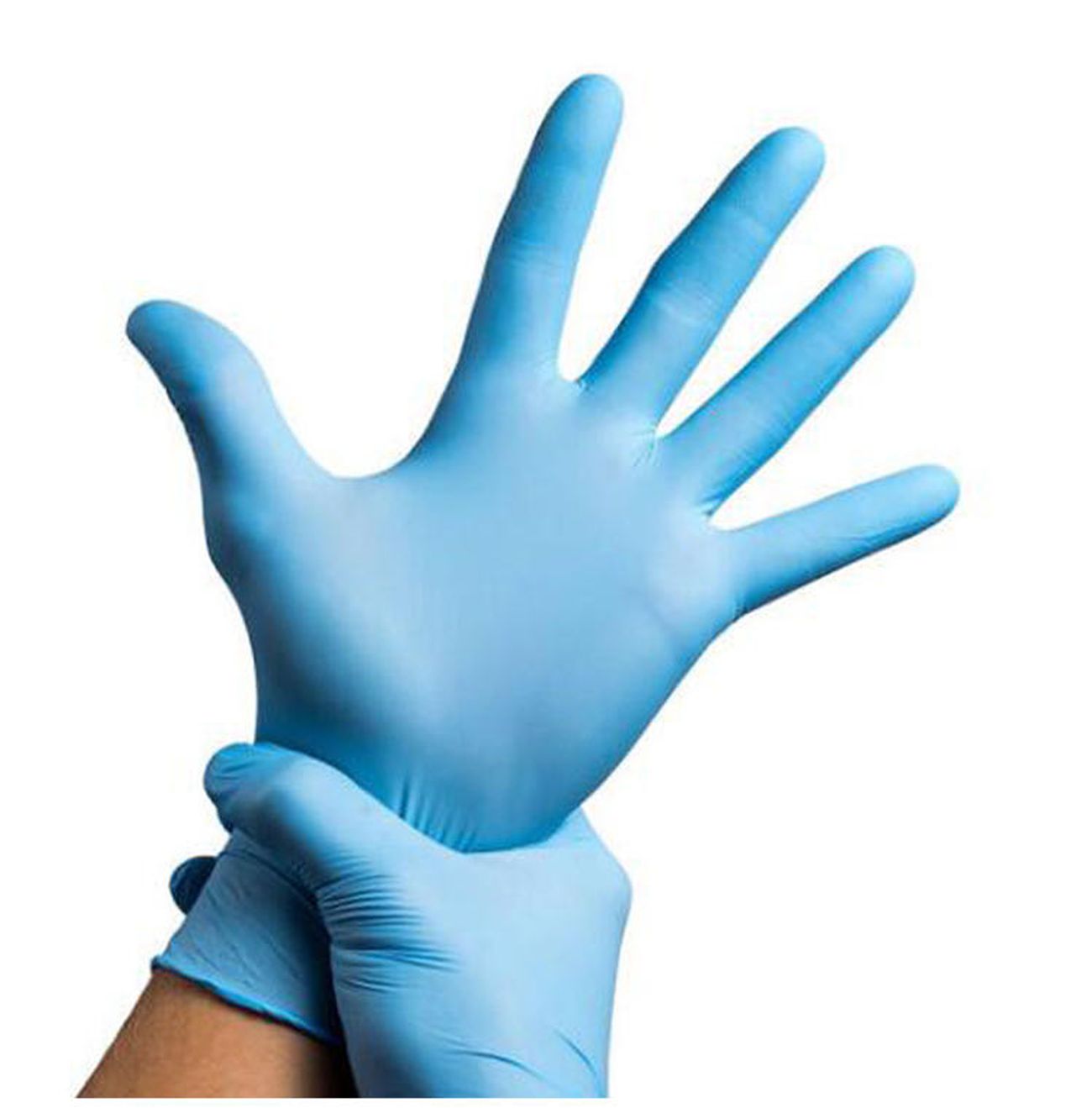 Large Nitrile Gloves (100 pcs)