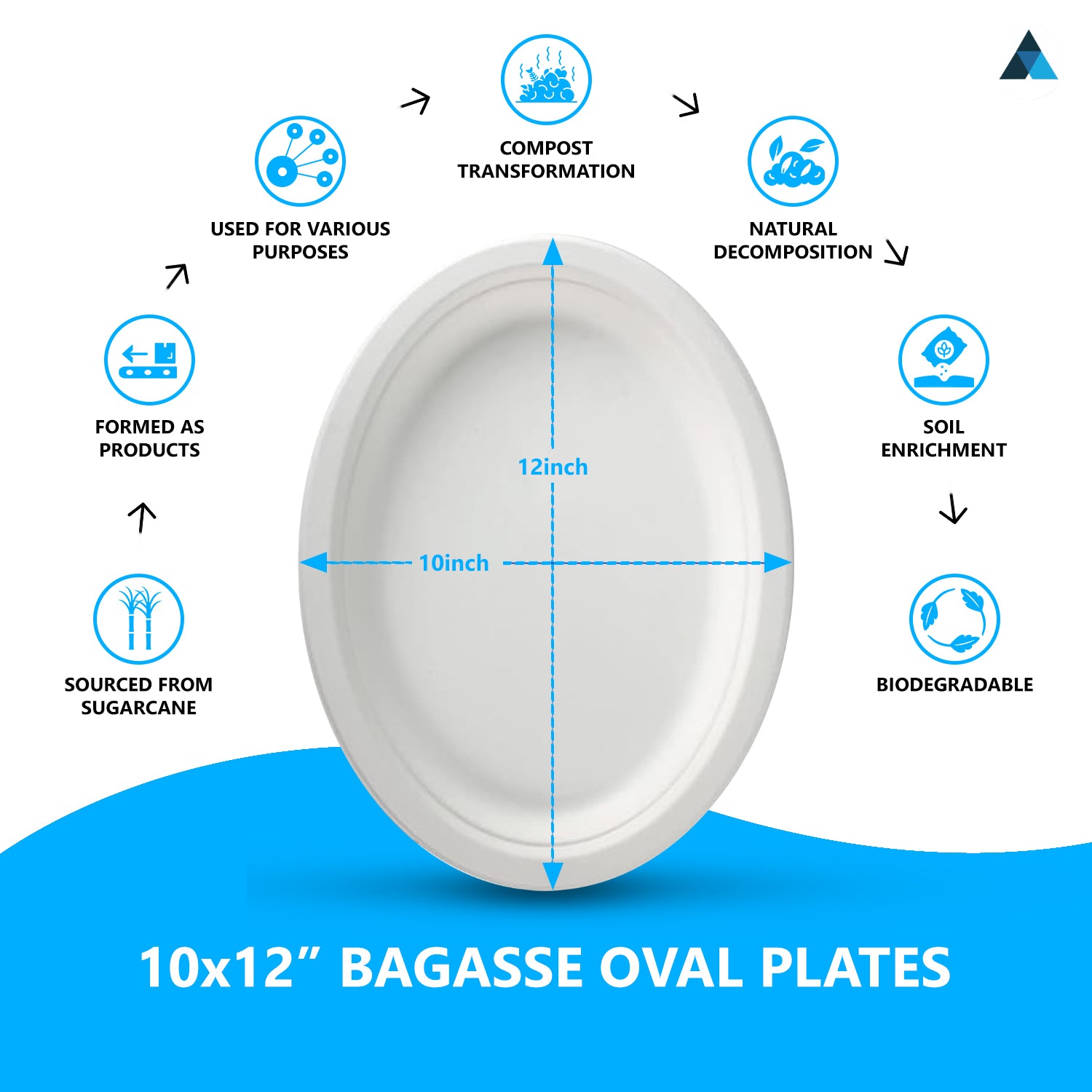 10x12Inch Disposable Oval Bagasse Plates