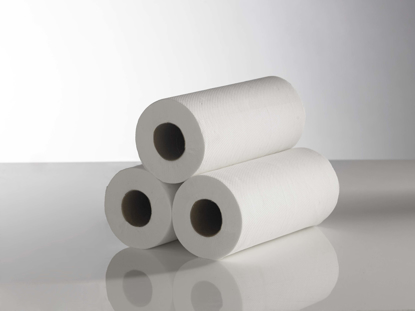Picture of White Dressing Roll (2ply, 50m, 125 sheets, Pack of 18)