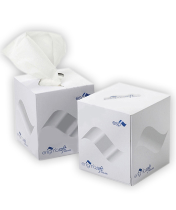 Picture of Facial Tissues Cube (2Ply,  70 Sheets, Pack of 24)