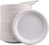 Picture of White Disposable Paper Plates