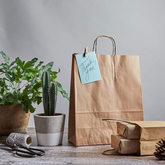 Picture of Brown Kraft Paper Carrier Bags With Strong Twisted Handles